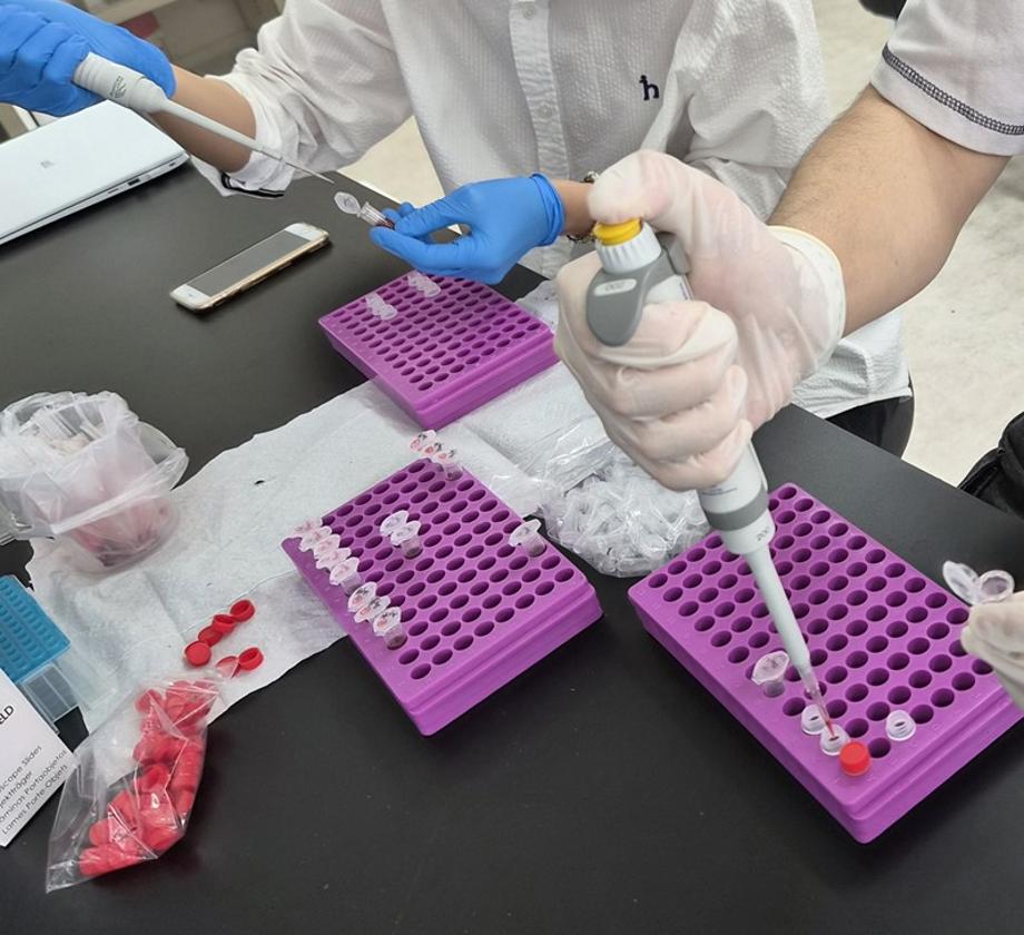 전공역량 학술연구 프로그램: 전공이 살아있는 실험