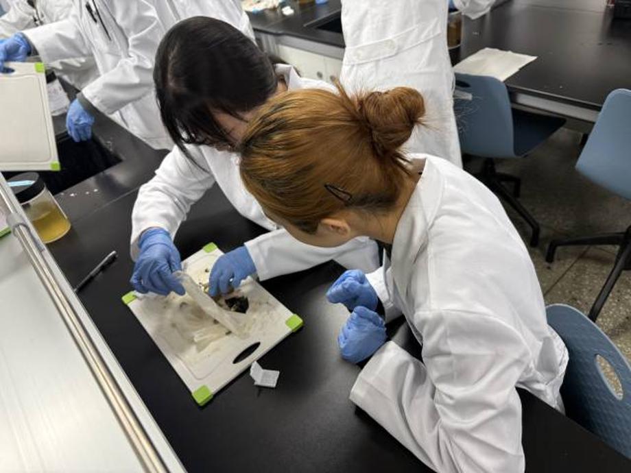 조직 세절 및 조직 처리