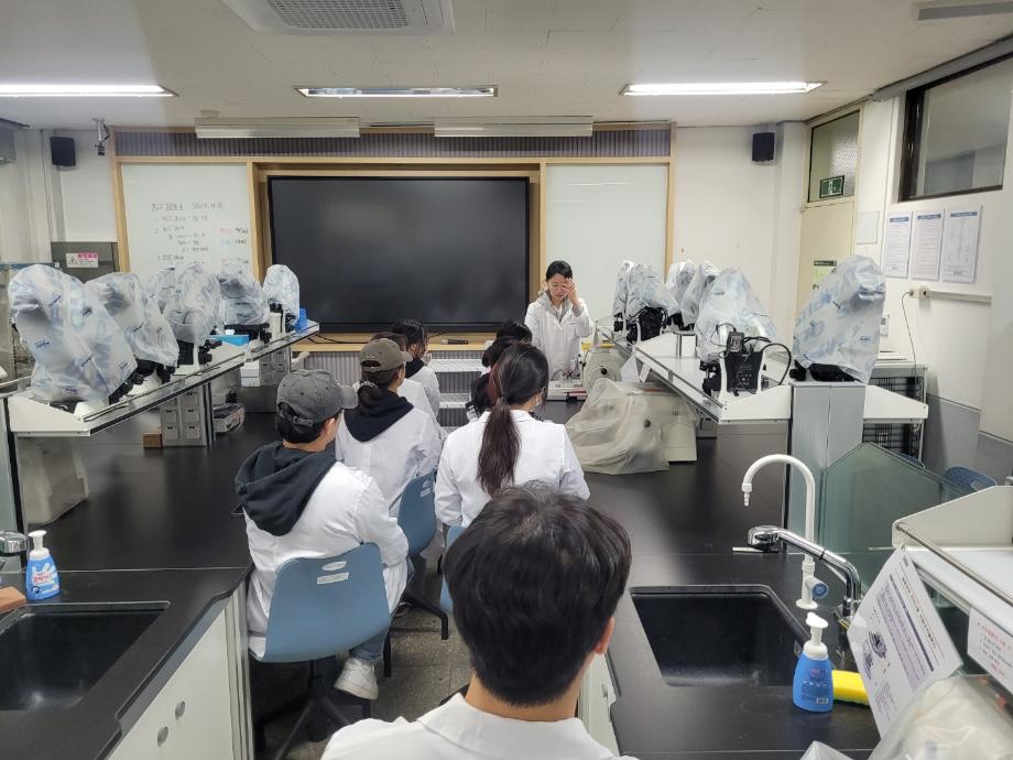 피드백 및 청소