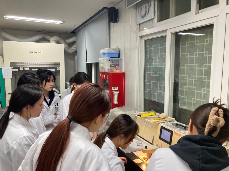 포매 및 블럭  트리밍